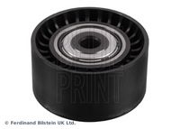 BLUE PRINT ADBP960035 - Polea inversión/guía, correa poli V