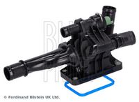 BLUE PRINT ADB119201 - Termostato, refrigerante