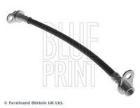 BLUE PRINT ADC453103 - Tubo flexible de frenos