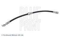 BLUE PRINT ADC453117 - Tubo flexible de frenos