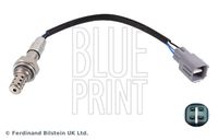 BLUE PRINT ADD67001 - Sonda Lambda
