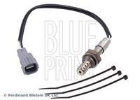 BLUE PRINT ADD67008 - Sonda Lambda