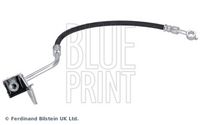 BLUE PRINT ADG053265 - Tubo flexible de frenos