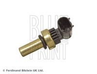 BLUE PRINT ADG07283 - Sensor, temperatura del refrigerante