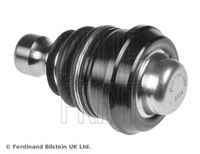 BLUE PRINT ADG08642 - Rótula de suspensión/carga