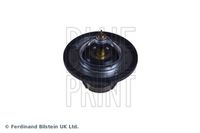 BLUE PRINT ADG09250 - Termostato, refrigerante