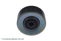 BLUE PRINT ADG096525 - Polea inversión/guía, correa poli V