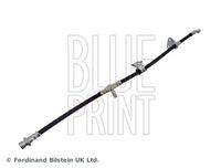 BLUE PRINT ADH25321 - Tubo flexible de frenos