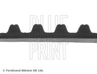 BLUE PRINT ADH27534 - Correa dentada