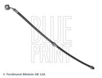 BLUE PRINT ADH253135 - Tubo flexible de frenos
