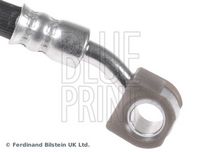 BLUE PRINT ADH253177 - Tubo flexible de frenos