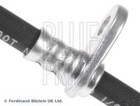 BLUE PRINT ADH253177 - Tubo flexible de frenos