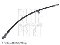 BLUE PRINT ADH253203 - Tubo flexible de frenos