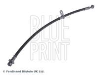 BLUE PRINT ADH253204 - Tubo flexible de frenos