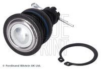 BLUE PRINT ADH286138 - Rótula de suspensión/carga