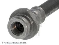 BLUE PRINT ADK85361 - Tubo flexible de frenos