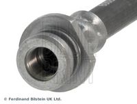 BLUE PRINT ADK85361 - Tubo flexible de frenos