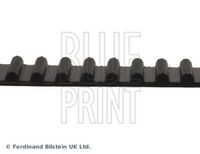 BLUE PRINT ADK87511 - Correa dentada