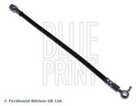 BLUE PRINT ADM55352 - Tubo flexible de frenos