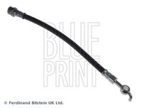 BLUE PRINT ADM55377 - Tubo flexible de frenos