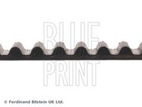 BLUE PRINT ADM57508 - Correa dentada