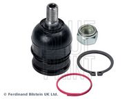 BLUE PRINT ADM58655 - Rótula de suspensión/carga