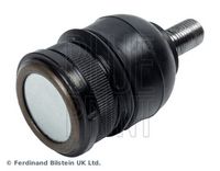 BLUE PRINT ADM58655 - Rótula de suspensión/carga