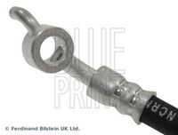 BLUE PRINT ADN153199 - Tubo flexible de frenos