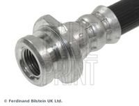 BLUE PRINT ADN153199 - Tubo flexible de frenos