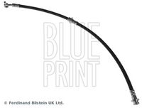 BLUE PRINT ADN153248 - Tubo flexible de frenos