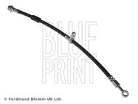 BLUE PRINT ADN153260 - Tubo flexible de frenos