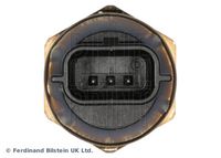 BLUE PRINT ADN17263 - Sensor, presión combustible