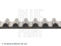 BLUE PRINT ADN17520 - Correa dentada