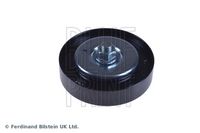 BLUE PRINT ADN196519 - Polea inversión/guía, correa poli V