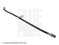 BLUE PRINT ADS75356 - Tubo flexible de frenos