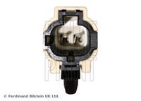 BLUE PRINT ADS71480 - Interruptor, piloto de marcha atrás