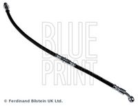 BLUE PRINT ADS75319 - Tubo flexible de frenos
