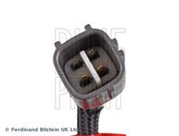 BLUE PRINT ADS77006 - Sonda Lambda