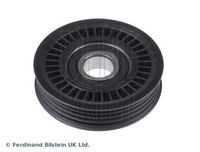 BLUE PRINT ADS796500 - Polea inversión/guía, correa poli V