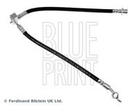 BLUE PRINT ADT353281 - Tubo flexible de frenos