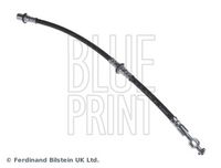 BLUE PRINT ADT353106 - Tubo flexible de frenos