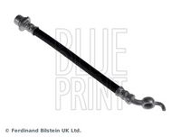 BLUE PRINT ADT353268 - Tubo flexible de frenos