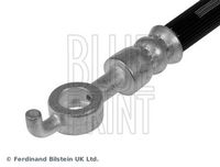 BLUE PRINT ADT353340 - Tubo flexible de frenos