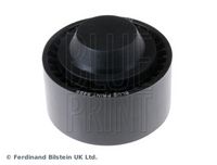 BLUE PRINT ADT396507 - Polea inversión/guía, correa poli V