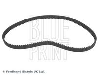 BLUE PRINT ADV187502 - Correa dentada
