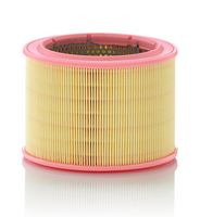 MANN-FILTER C17601 - Filtro de aire