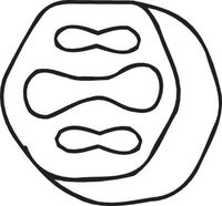 BOSAL 255-946 - Soporte, sistema de escape