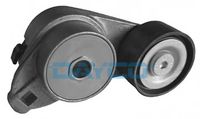 DAYCO APV1139 - Tensor de correa, correa poli V