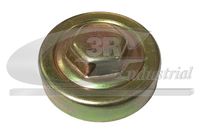 3RG 81663 - Tapa, radiador