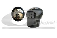 3RG 25609 - Pomo palanca cambios